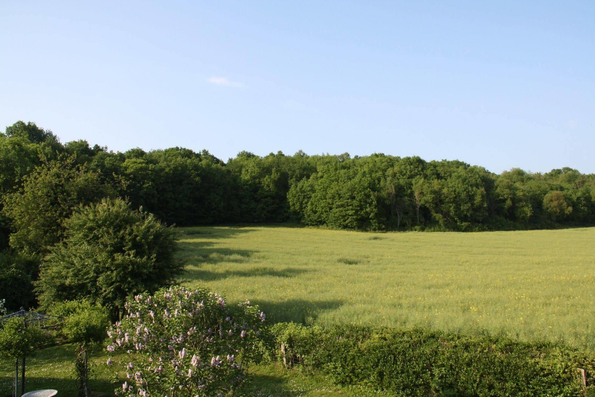 La Raimbaudiere Bed and Breakfast Guigneville-sur-Essonne Exterior foto